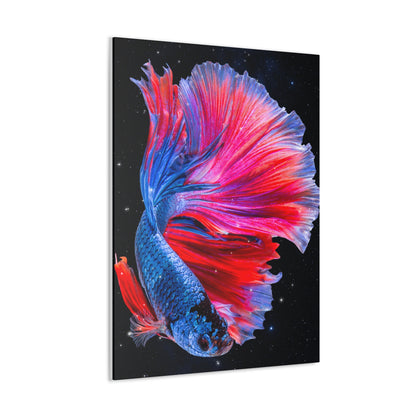 Blue/Red Beta Fish in Space Canvas